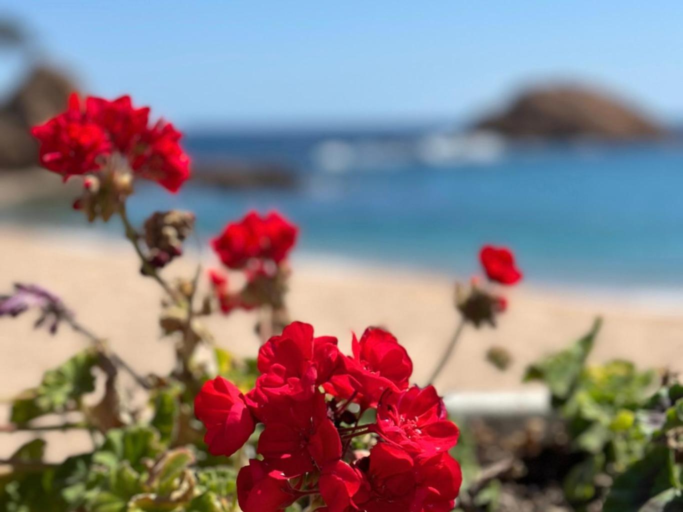 Apartmán Atico Con Vistas Al Mar A Un Paso Del Centro Blanes Exteriér fotografie