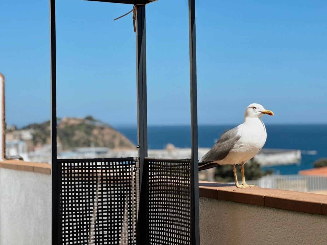 Apartmán Atico Con Vistas Al Mar A Un Paso Del Centro Blanes Exteriér fotografie